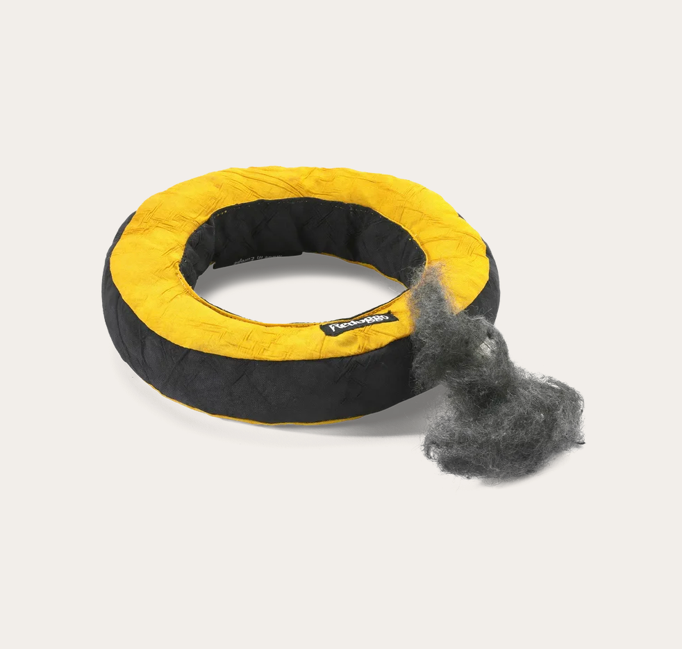 Redoggo Hundespielzeug Donut "neon/petrol"