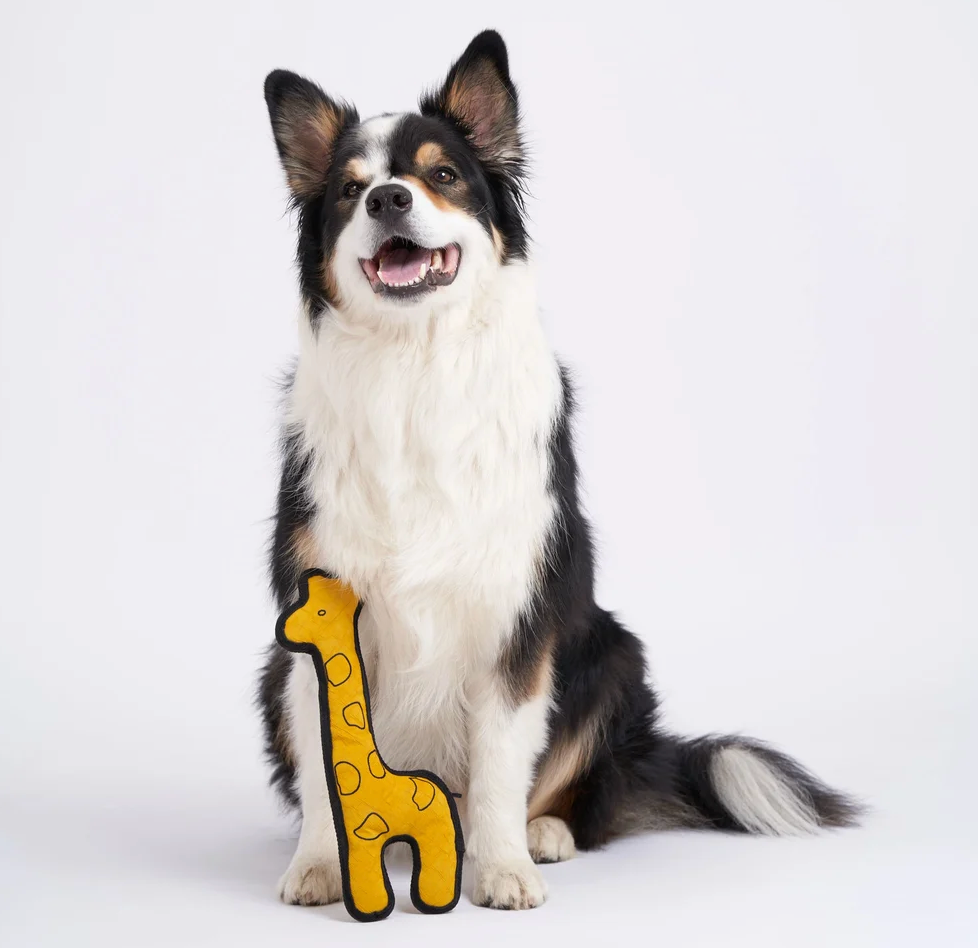 Redoggo Hundespielzeug "Giraffe"