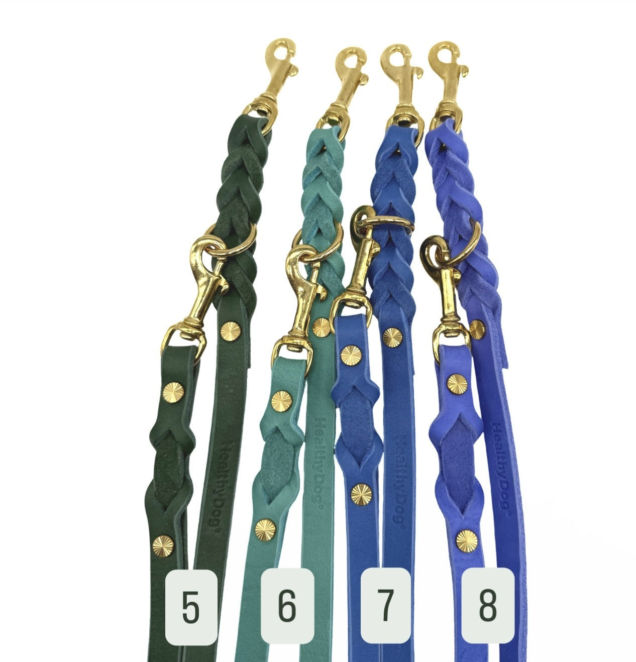 HealthyDog Lederleine "Verbunden" 11 verschiedene Farben