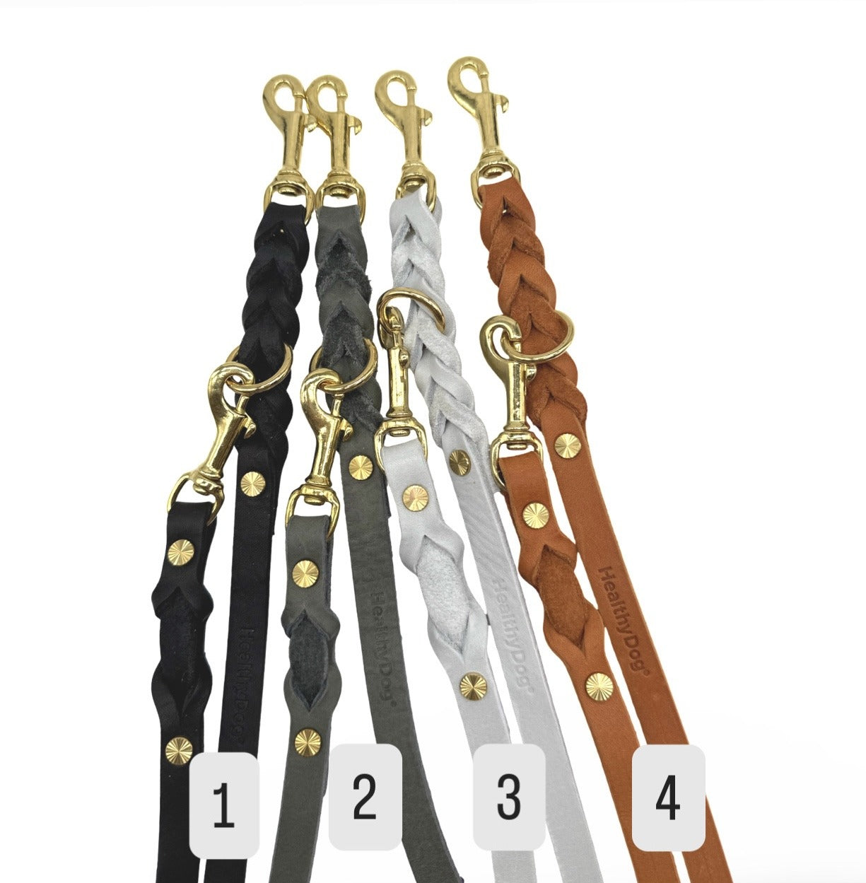 HealthyDog Lederhalsband "Verbunden" 11 verschiedene Farben