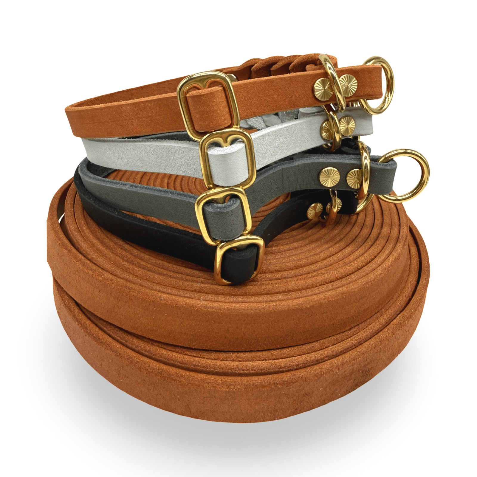 HealthyDog Lederhalsband "Verbunden" 11 verschiedene Farben