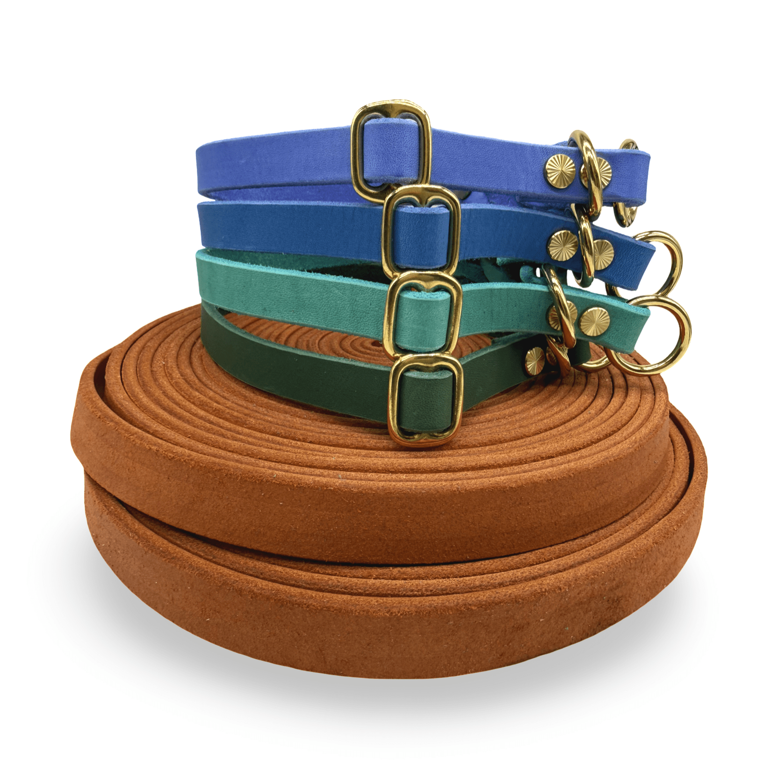 HealthyDog Lederhalsband "Verbunden" 11 verschiedene Farben