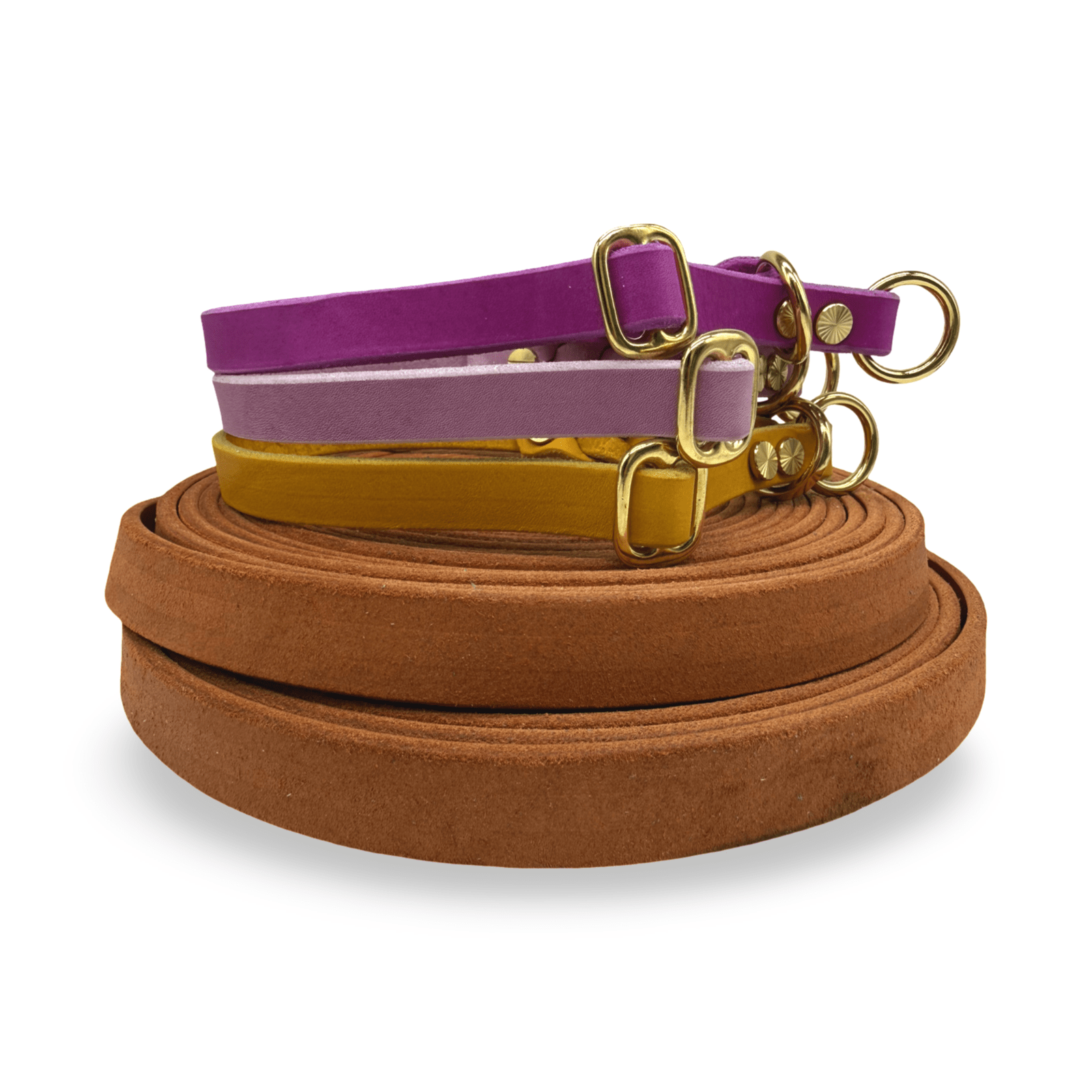 HealthyDog Lederhalsband "Verbunden" 11 verschiedene Farben