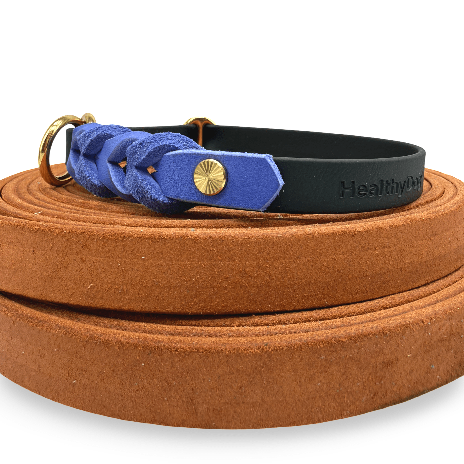 HealthyDog BioThane x Leder Zugstopp Hundehalsband "schwarz"