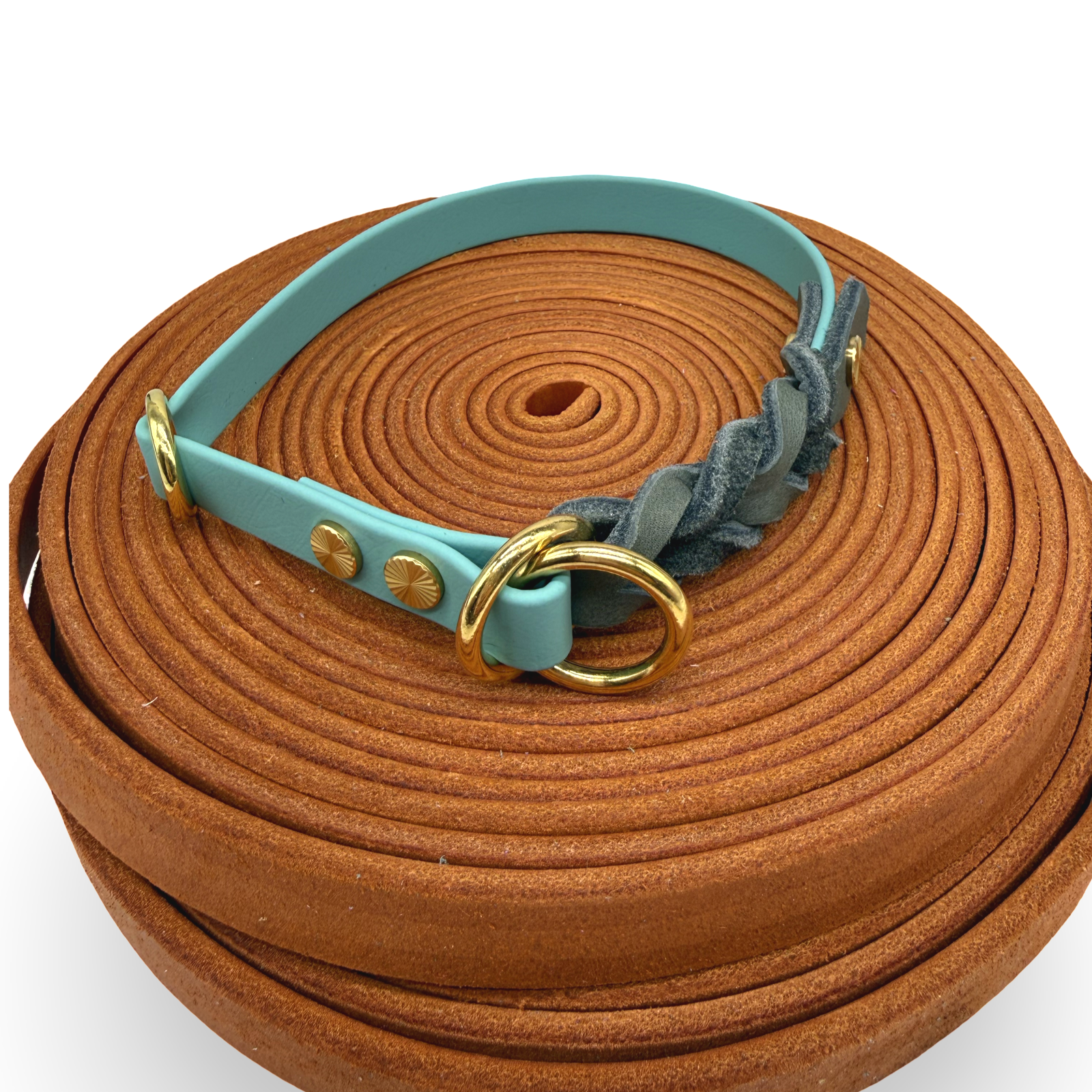 HealthyDog BioThane x Leder Zugstopp Hundehalsband "pastell"