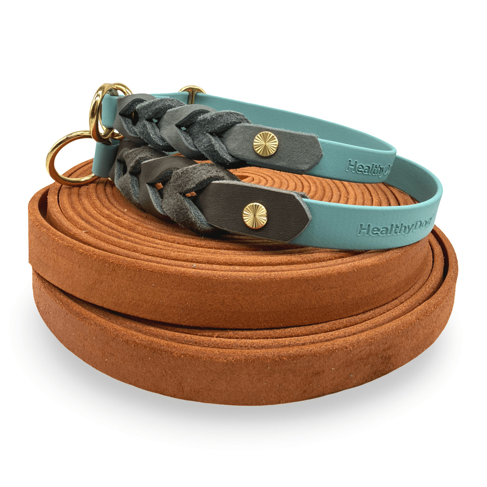 HealthyDog BioThane x Leder Zugstopp Hundehalsband "pastell"