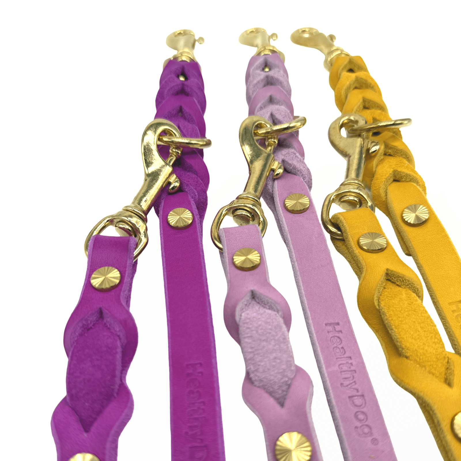 HealthyDog Lederleine "Verbunden" 11 verschiedene Farben