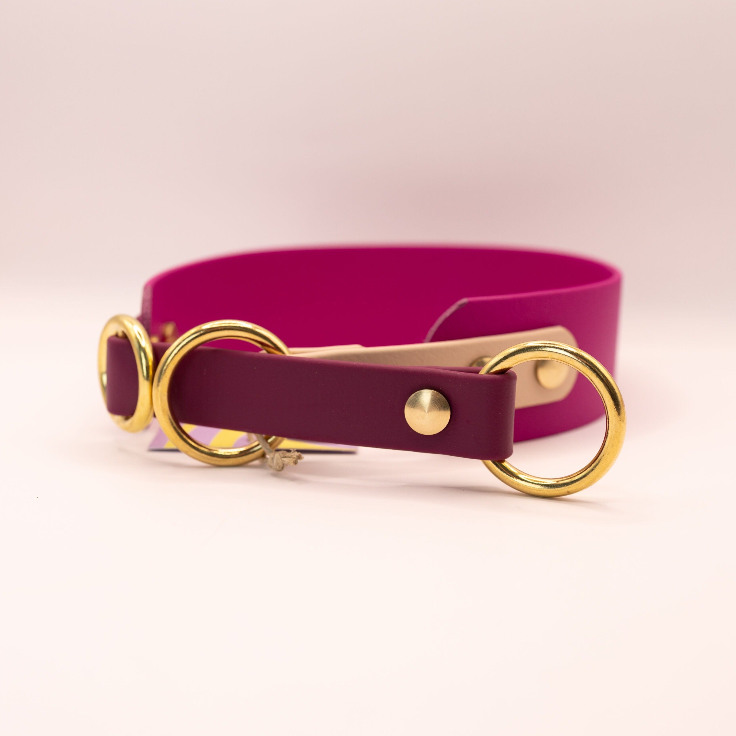 HealthyDog x KAHU Zugstopp Halsband Biothane "berry"