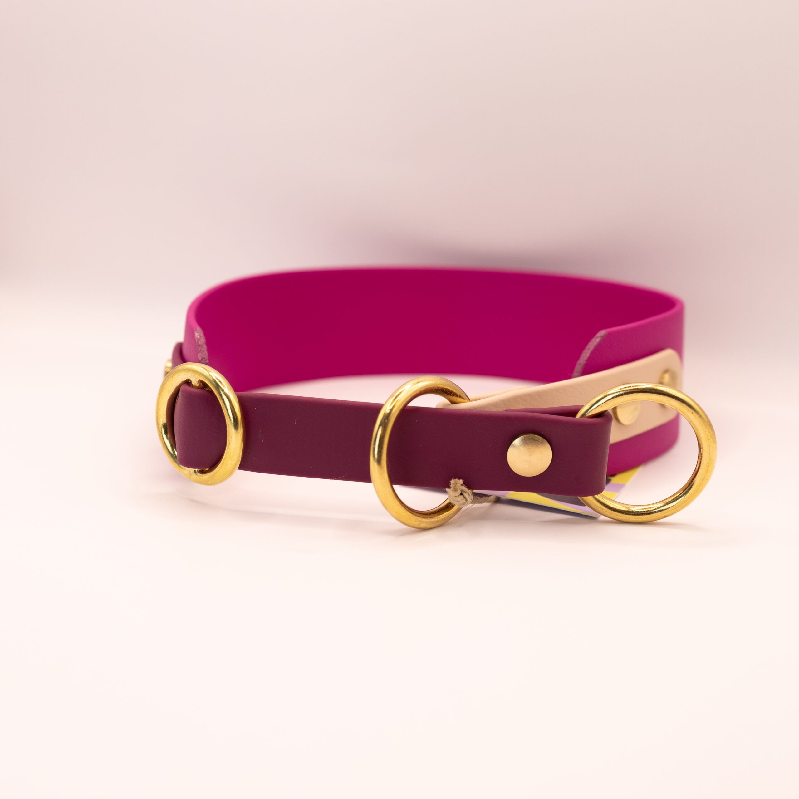 HealthyDog x KAHU Zugstopp Halsband Biothane "berry"