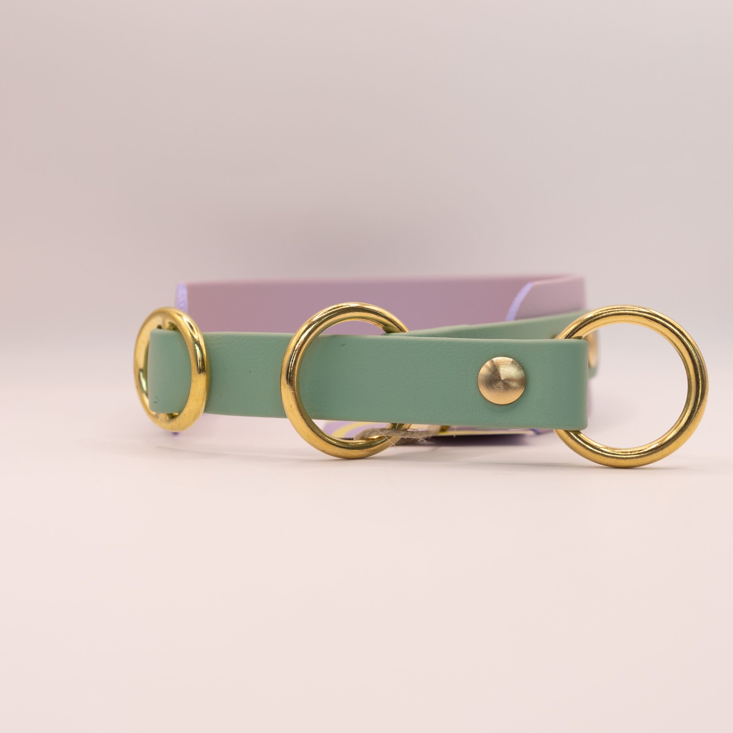 HealthyDog x KAHU Zugstopp Halsband Biothane "lavendel"