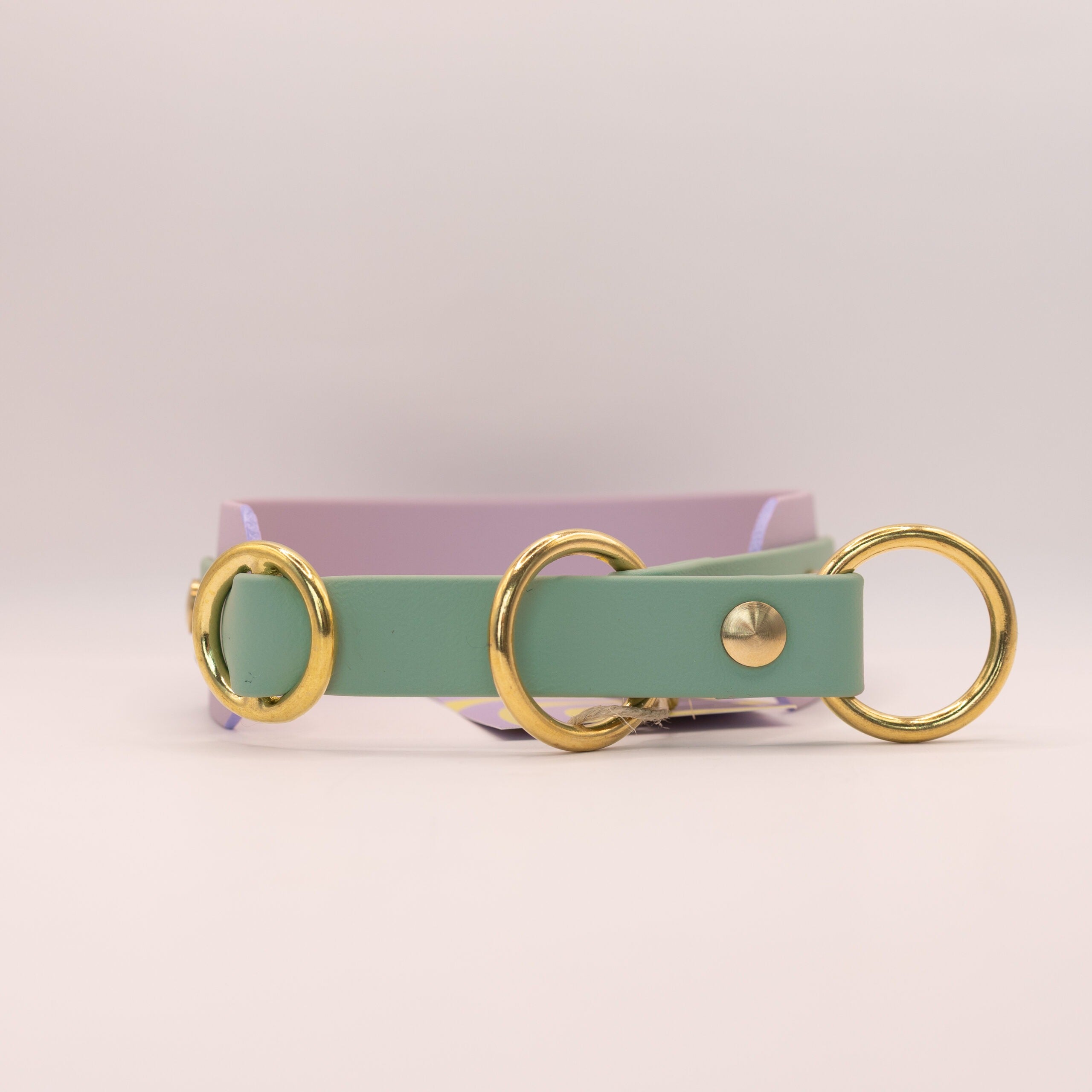 HealthyDog x KAHU Zugstopp Halsband Biothane "lavendel"