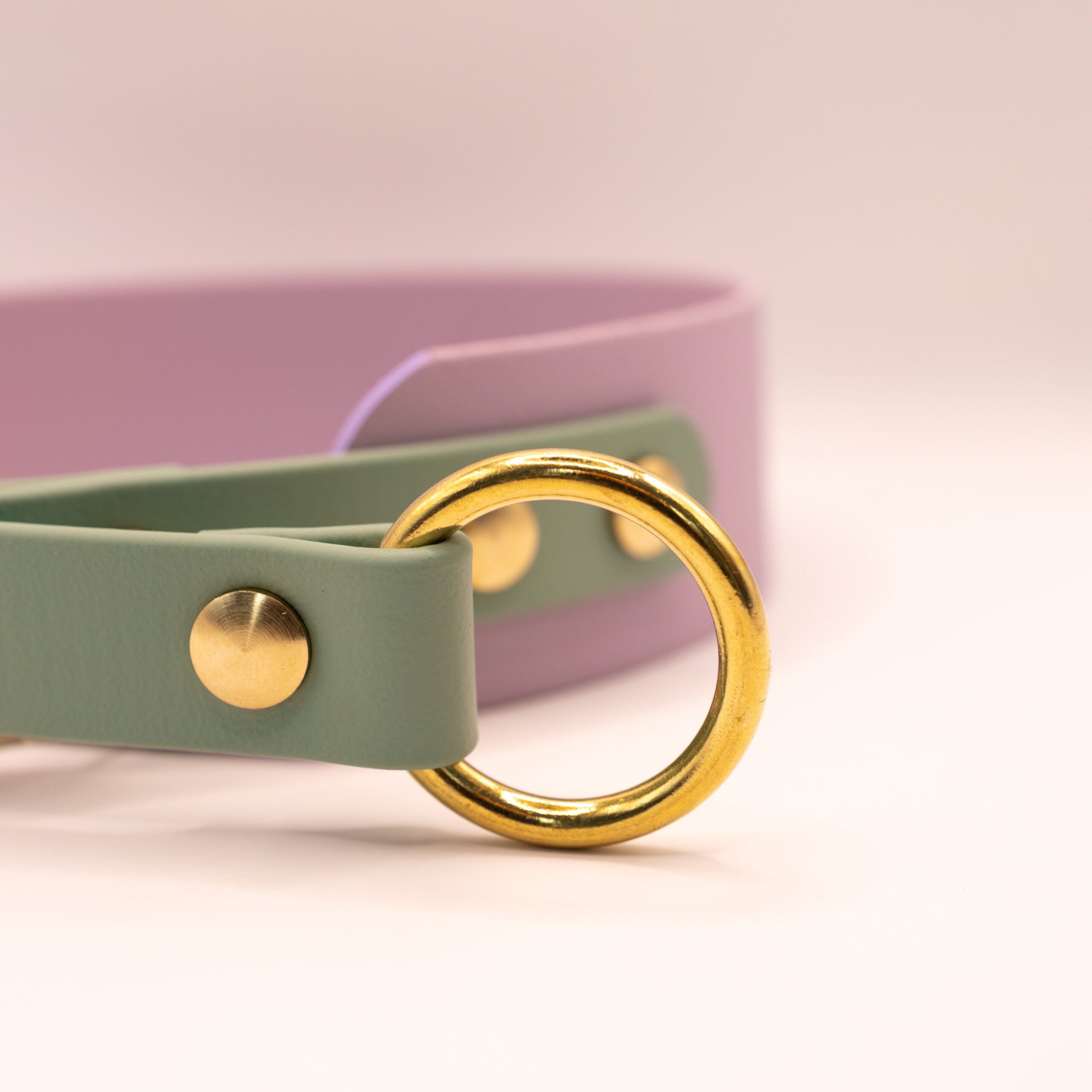 HealthyDog x KAHU Zugstopp Halsband Biothane "lavendel"