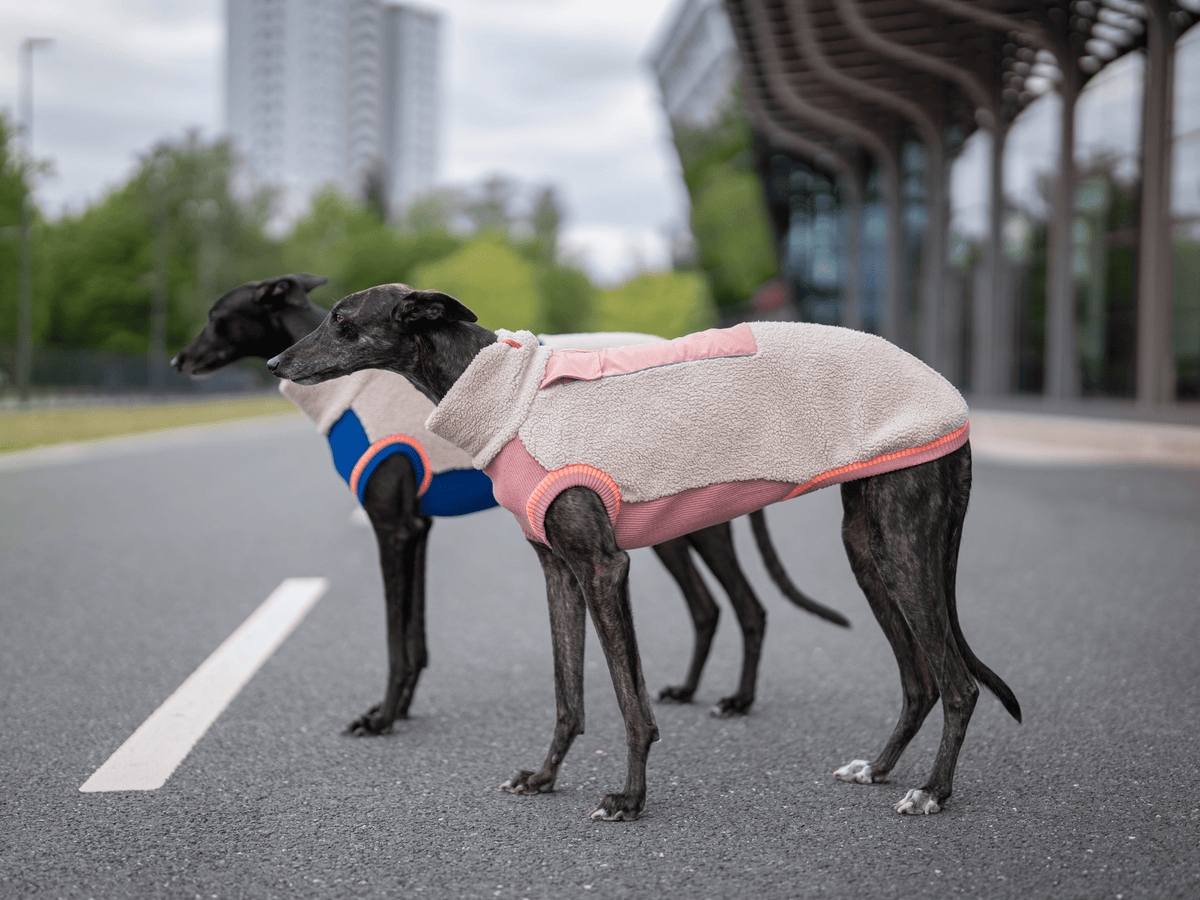 lumiies® Hundepullover warm aus Teddy-Sherpa-Fleece "2 verschiedene Farben"