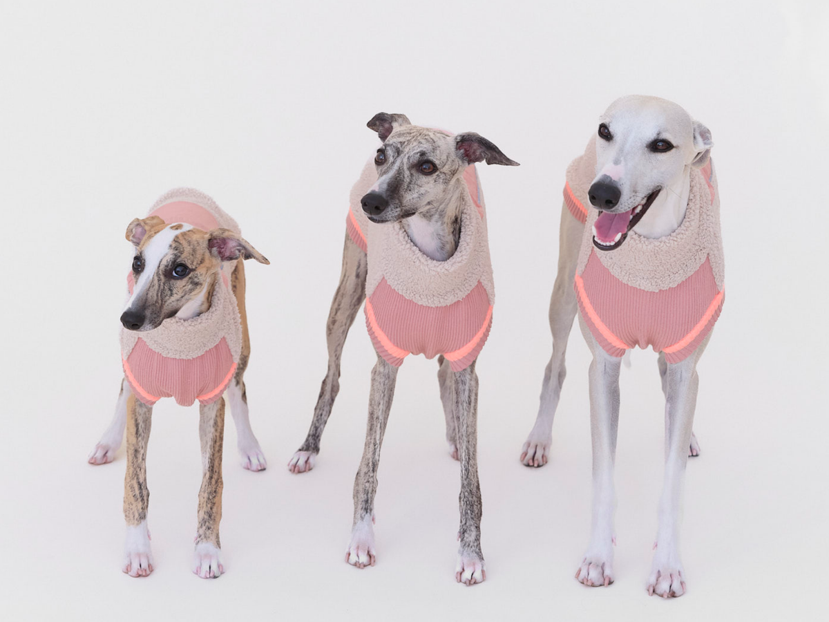 lumiies® Hundepullover warm aus Teddy-Sherpa-Fleece "2 verschiedene Farben"