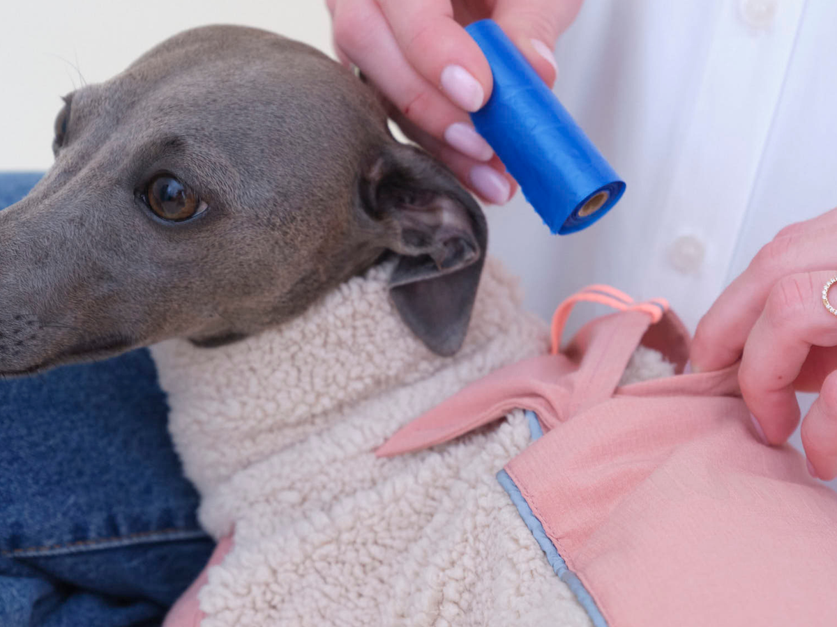 lumiies® Hundepullover warm aus Teddy-Sherpa-Fleece "2 verschiedene Farben"