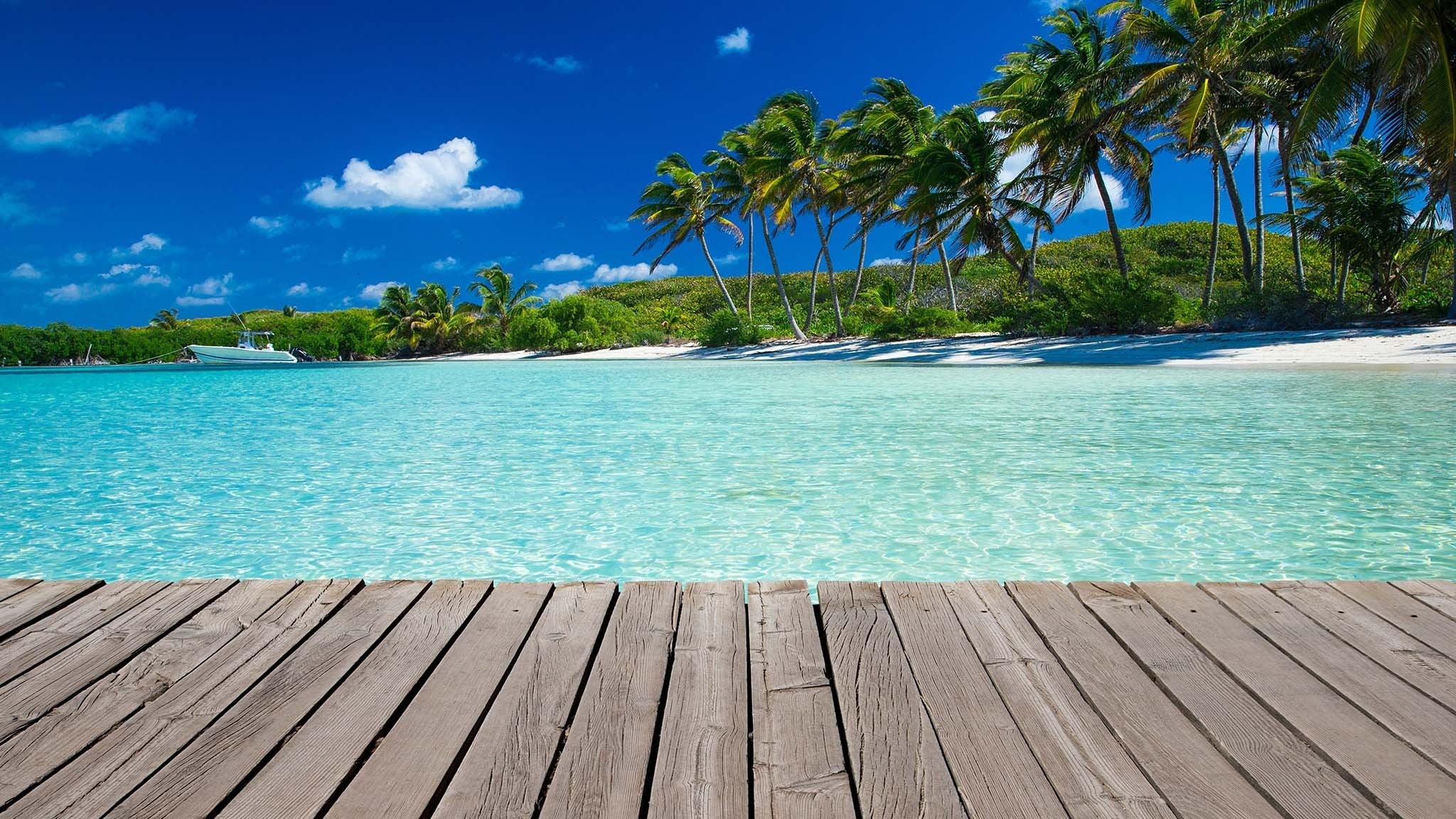 Bannerbild