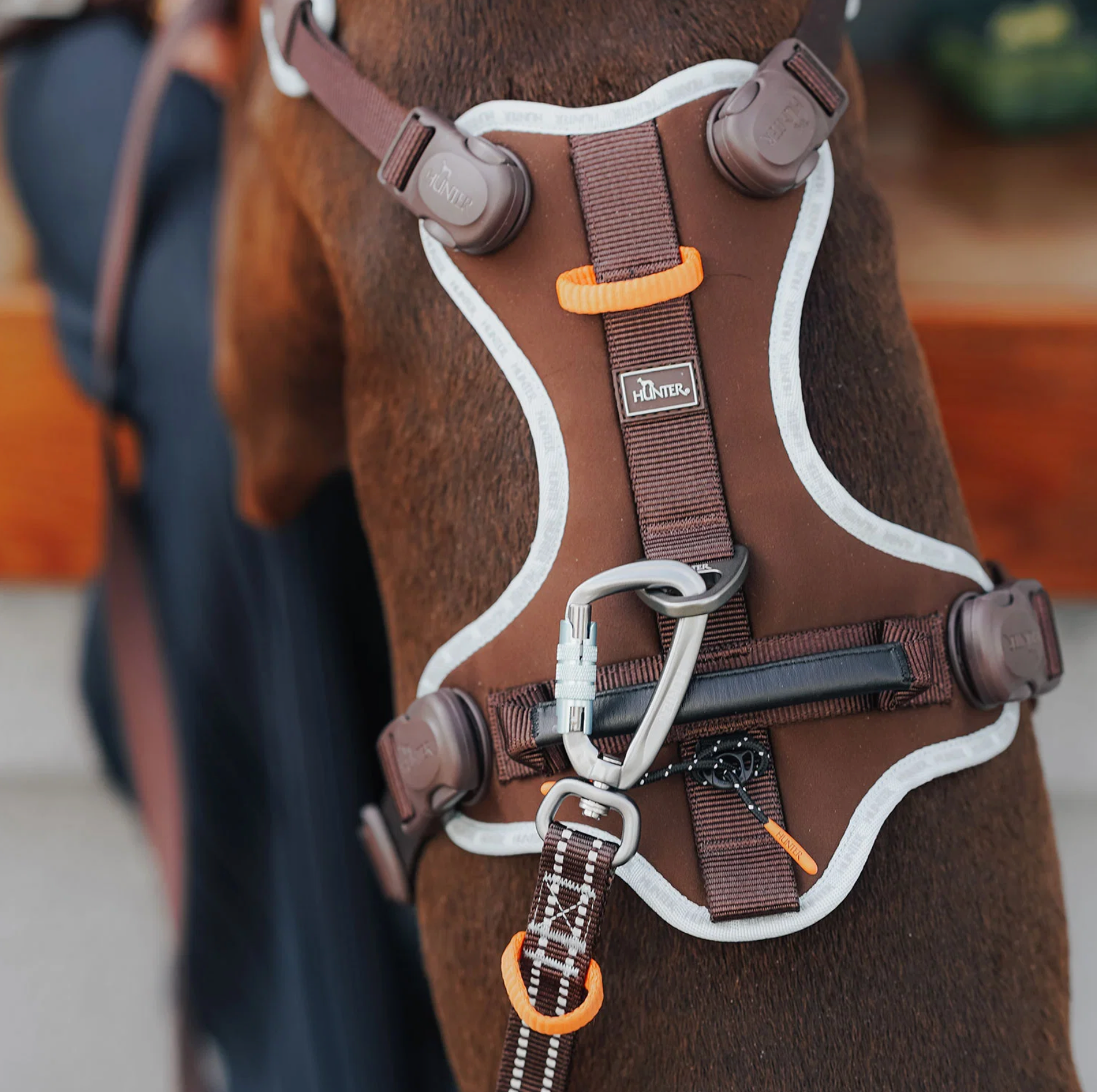 Hunter Action-Leine ErgoMove Pro™ "braun"