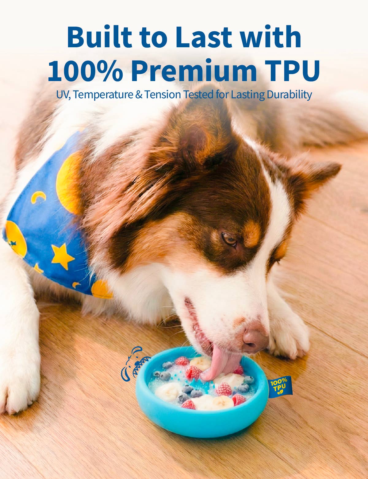 Chewise 2-in-1 Freeze Bowl Gefrorene Hund-Leckmatte & Anti‑Schling‑Napf