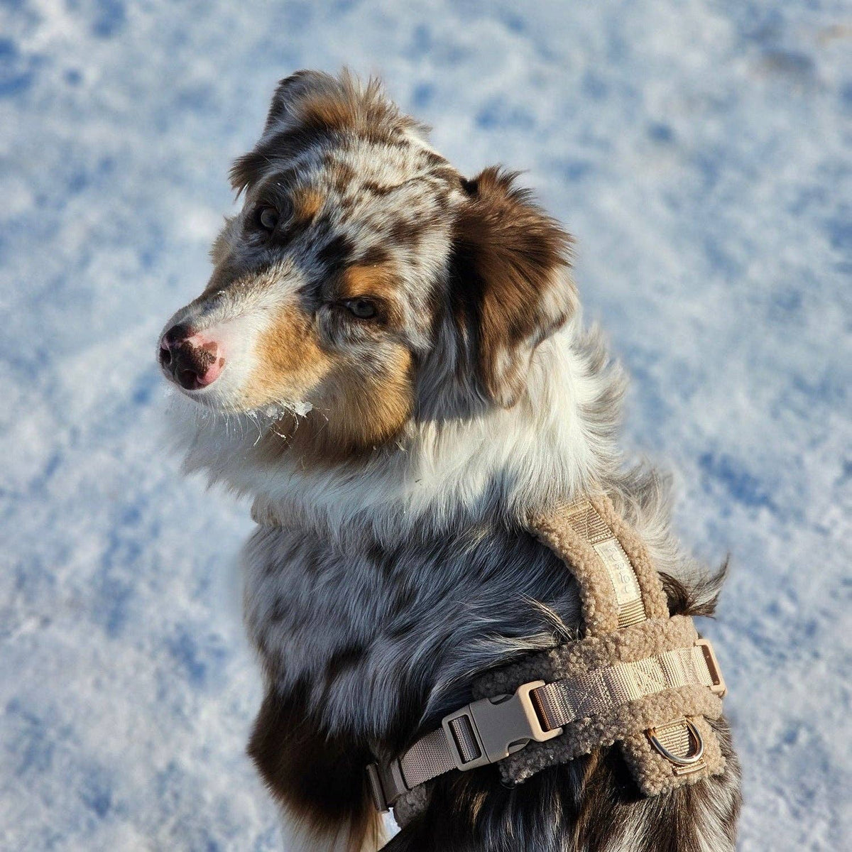 Furlou Y-Hundegeschirr Sherpa "sand"