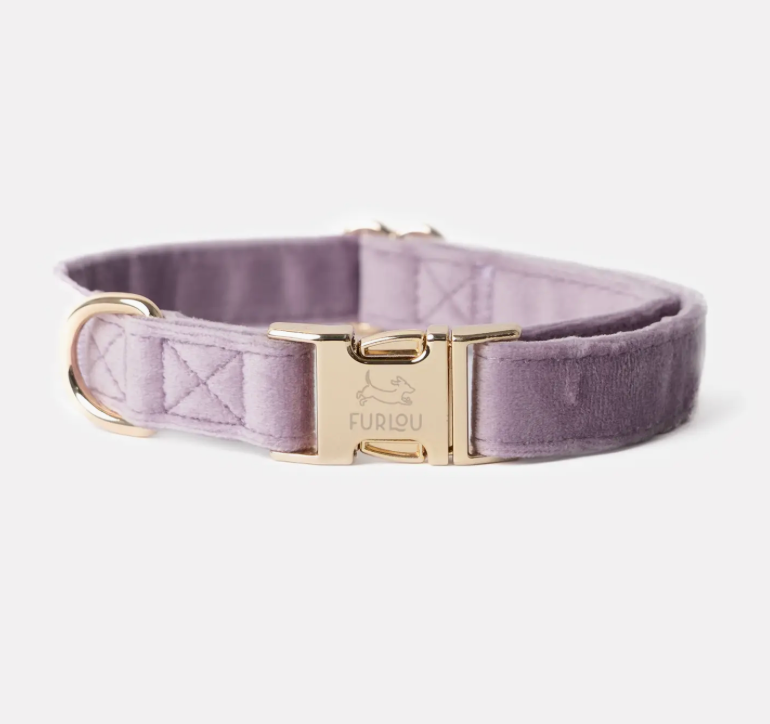 Furlou verstellbares Hundehalsband "lila"