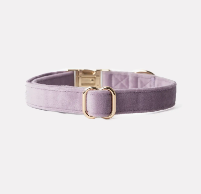 Furlou verstellbares Hundehalsband "lila"