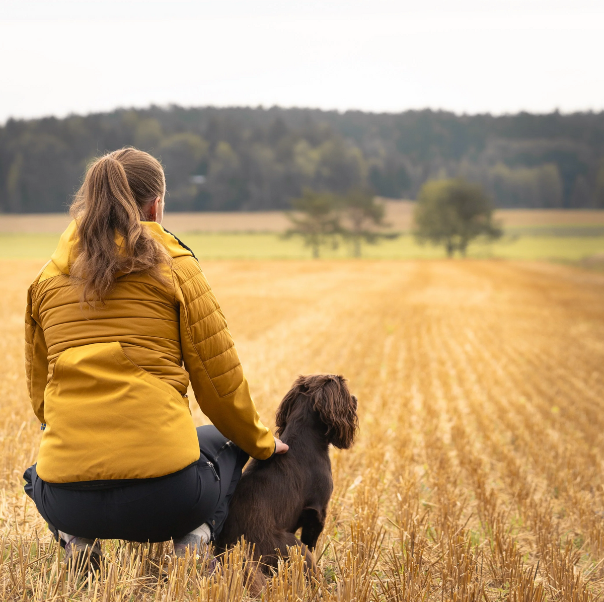 Hundlands Trainingsjacke Air Hybrido goldgelb