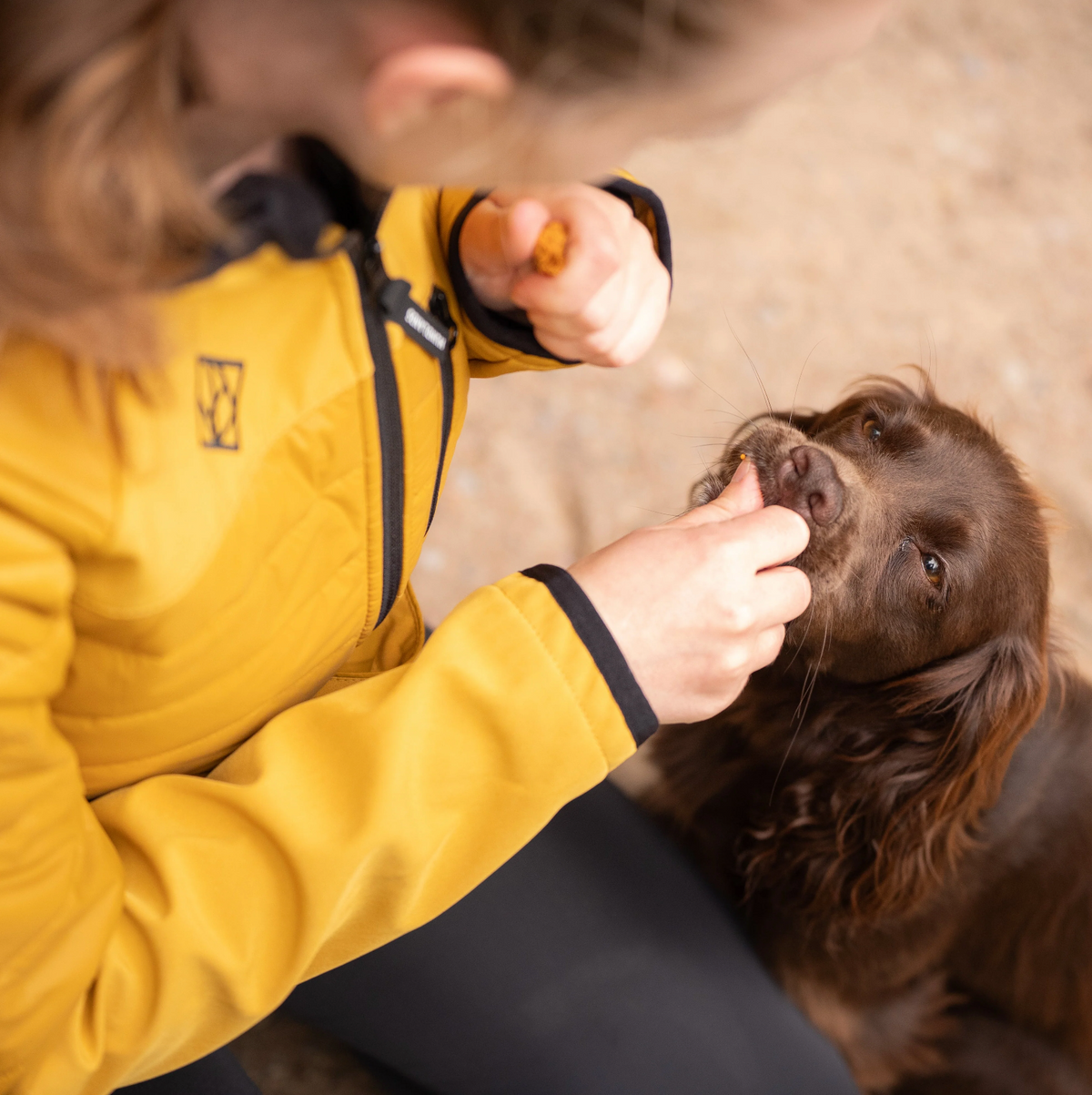 Hundlands Trainingsjacke Air Hybrido goldgelb