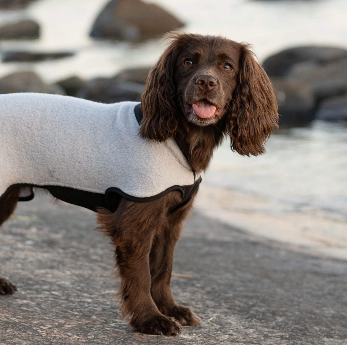Hundlands Wollmantel Sport coolgrau