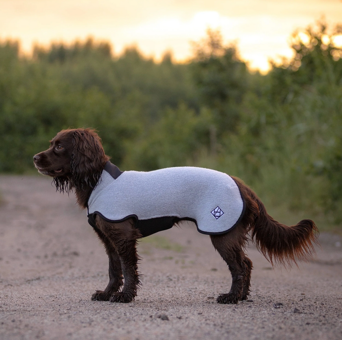 Hundlands Wollmantel Sport coolgrau