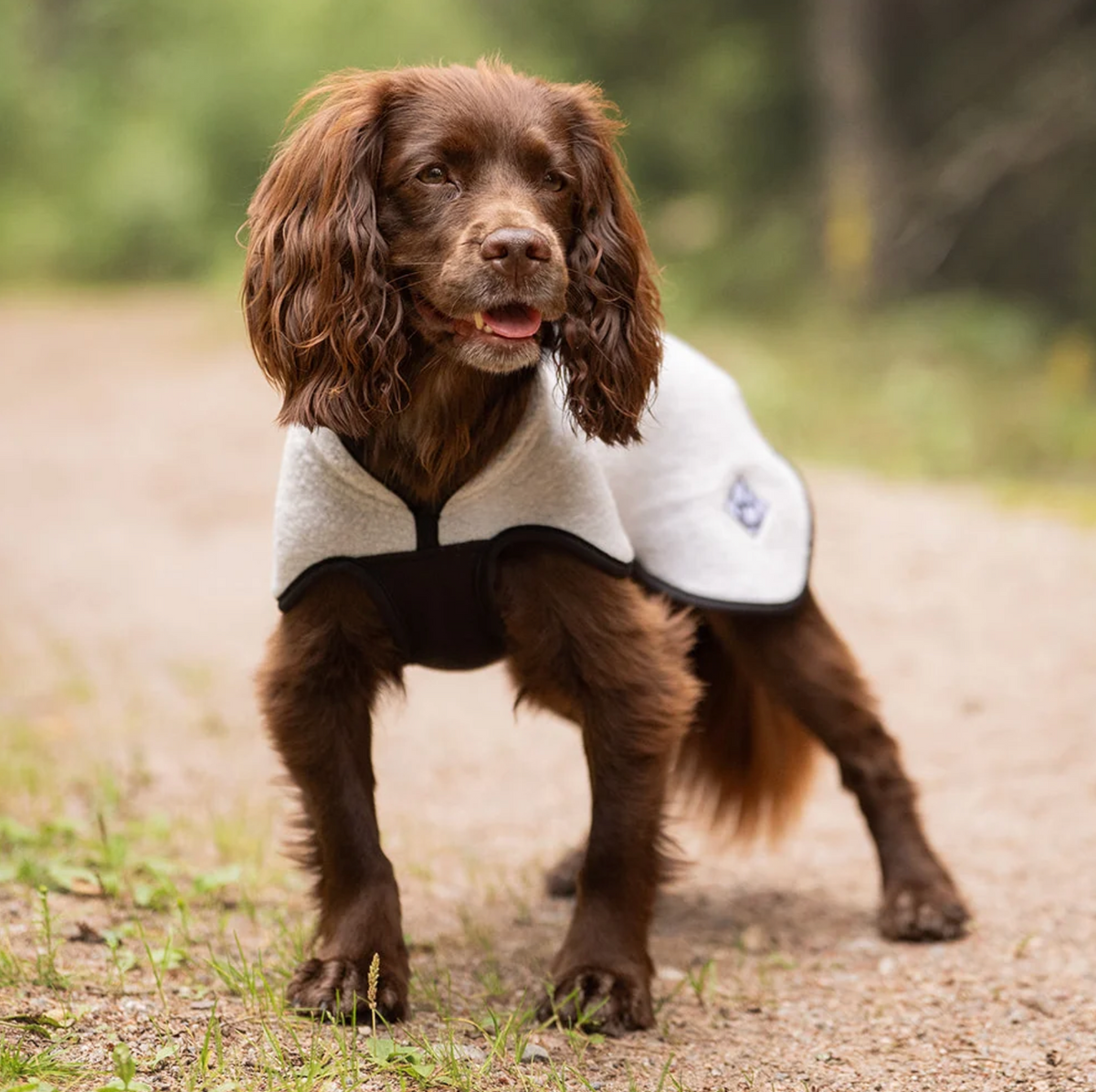 Hundlands Wollmantel Sport coolgrau