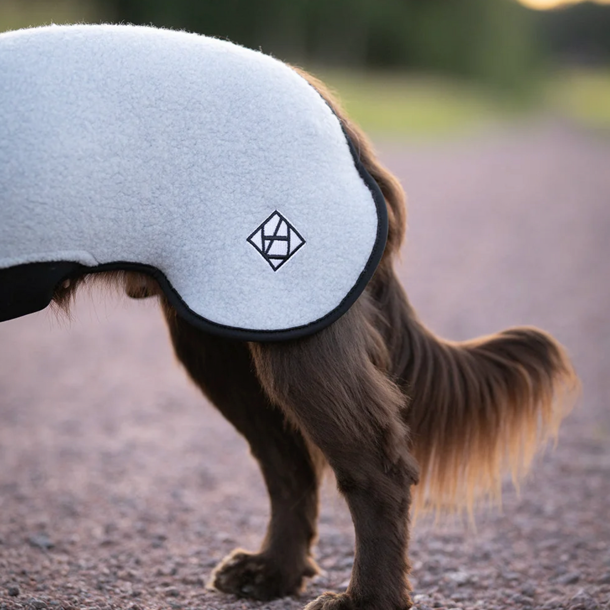 Hundlands Wollmantel Sport coolgrau