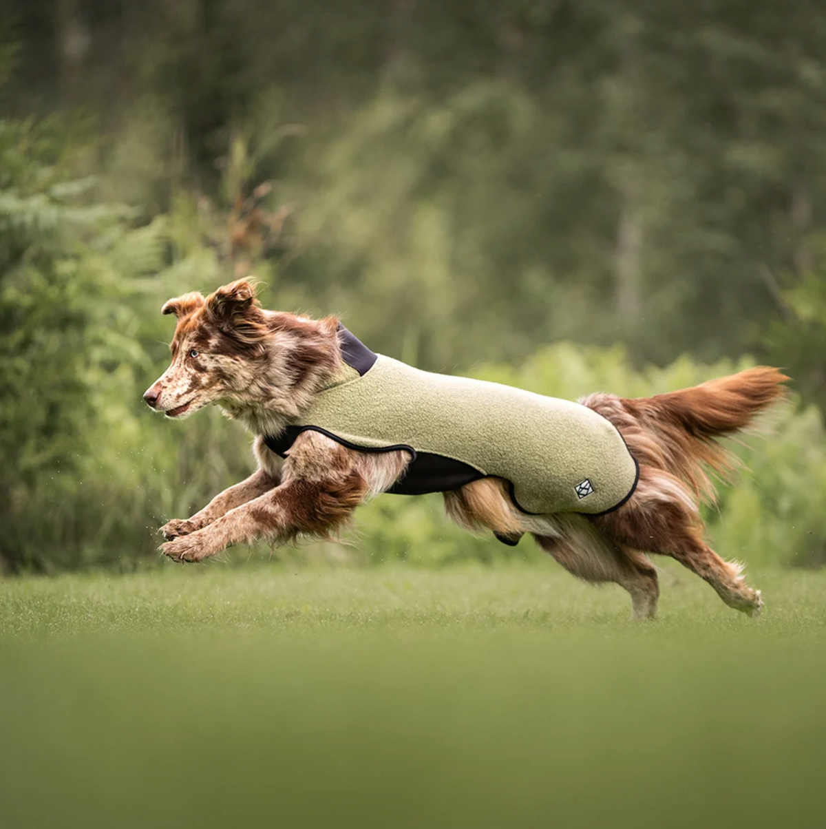 Hundlands Wollmantel Sport moosgrün