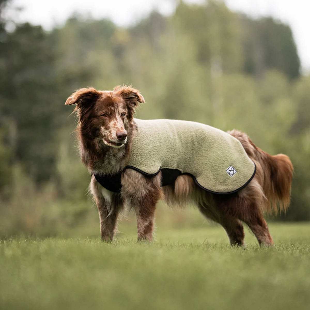 Hundlands Wollmantel Sport moosgrün