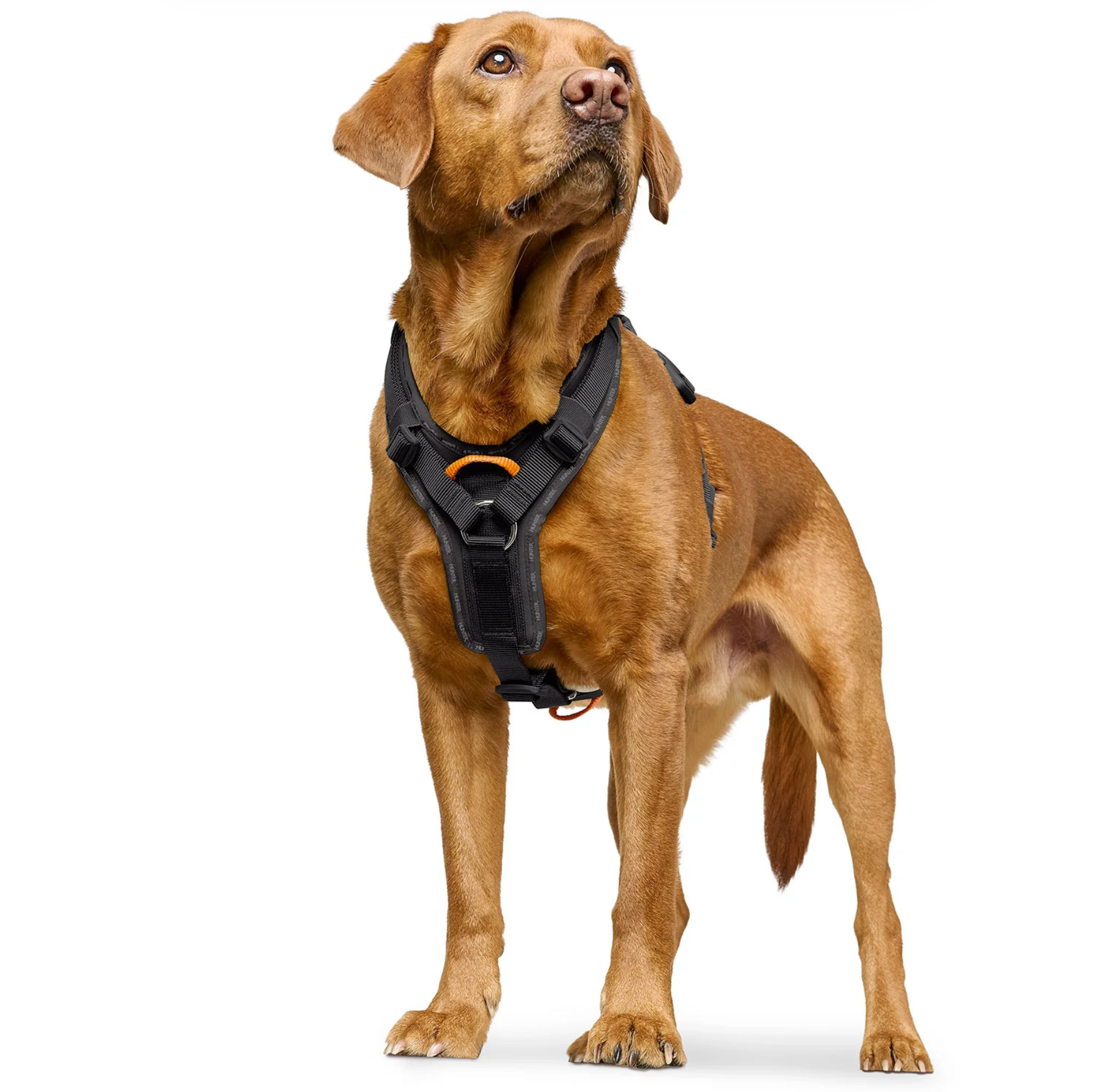 Hunter Ergonomisches Geschirr ErgoMove Pro™ "schwarz"