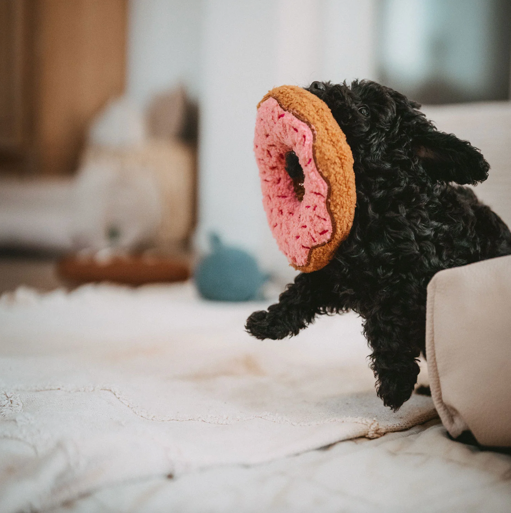 Hunter Hundespielzeug "BELEM Donut"