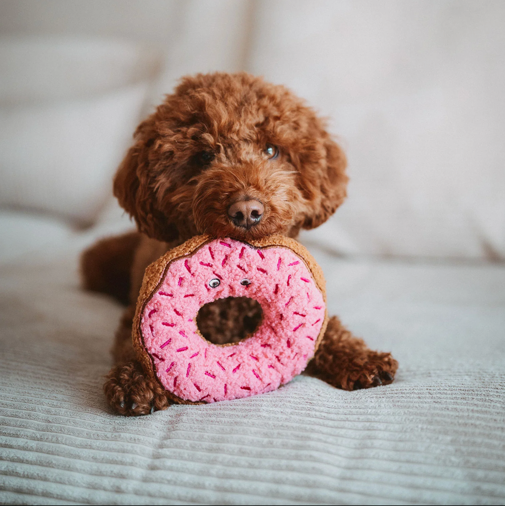 Hunter Hundespielzeug "BELEM Donut"