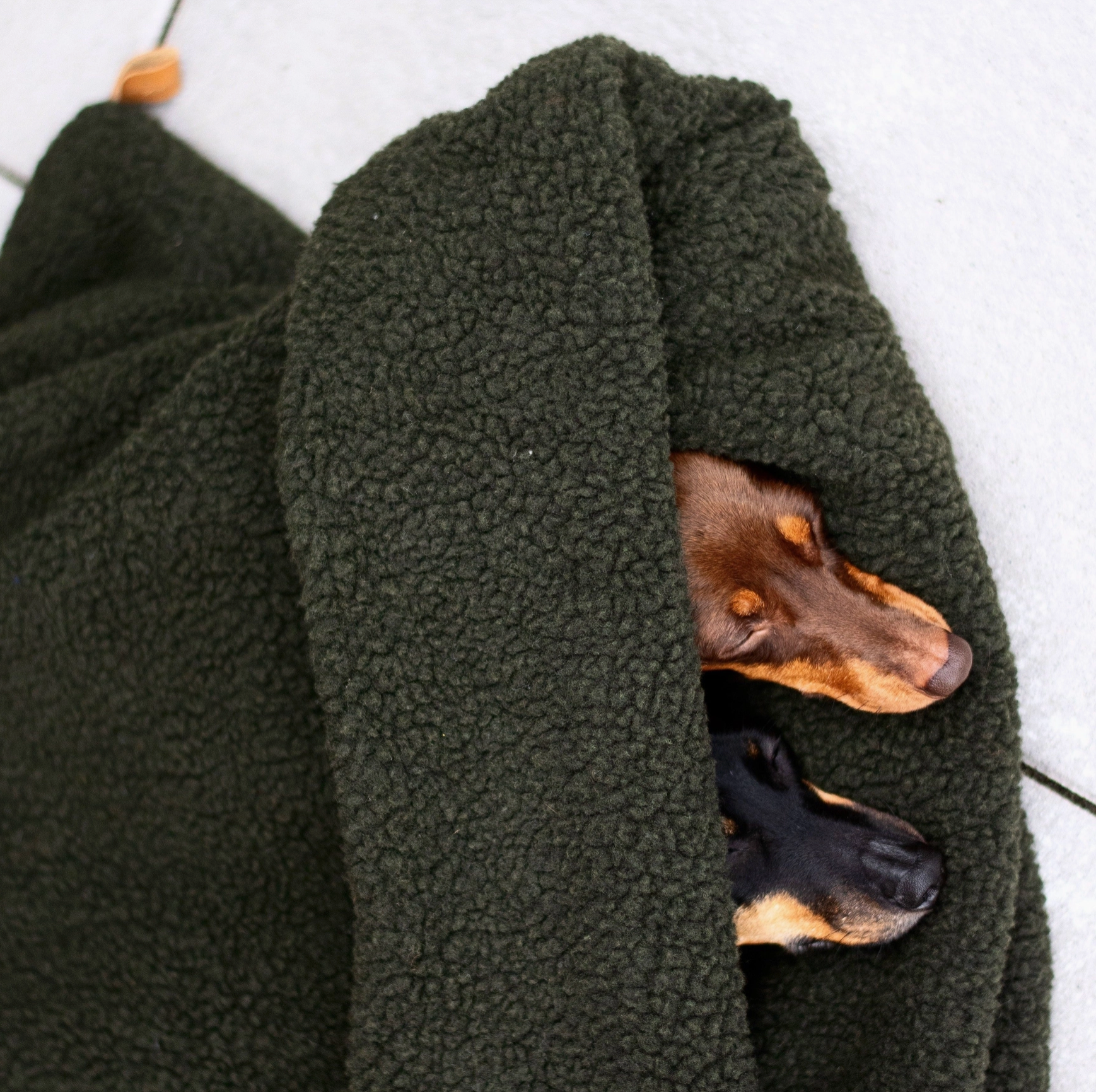 Lieblingspfote Kuschelschlafsack Teddy "army green"
