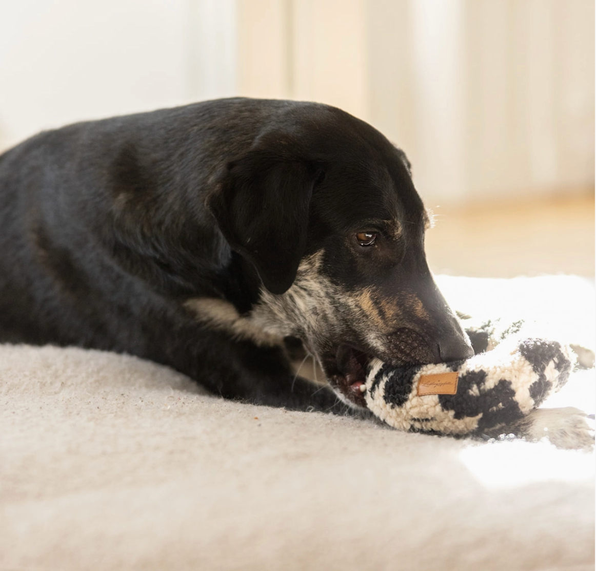 Lieblingspfote Hundespielzeug Donut "Leo"