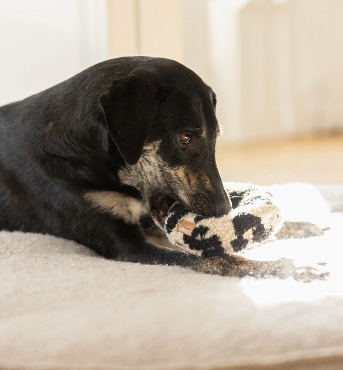 Lieblingspfote Hundespielzeug Donut "Leo"