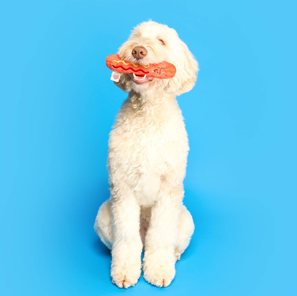 the furryfolks Nasenarbeit Hundespielzeug "Hot Doggie"