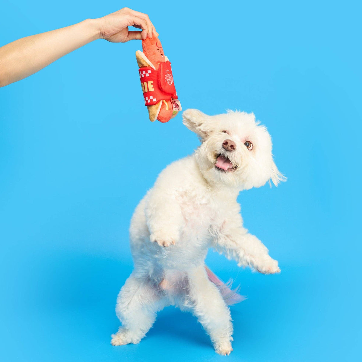 the furryfolks Nasenarbeit Hundespielzeug "Hot Doggie"