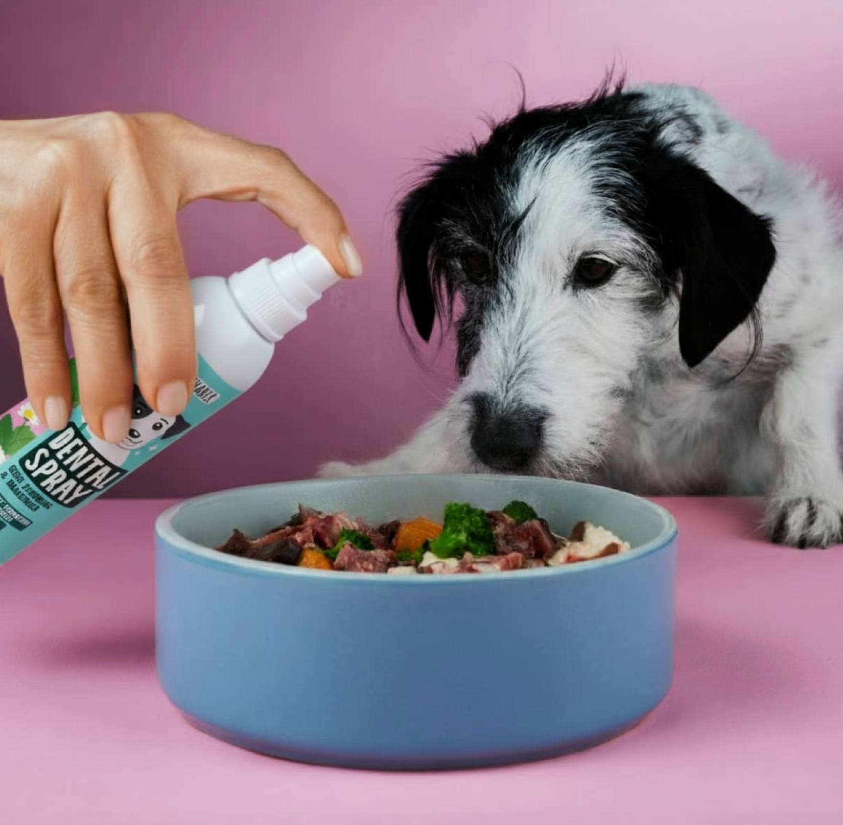 Tierliebhaber Dentalspray