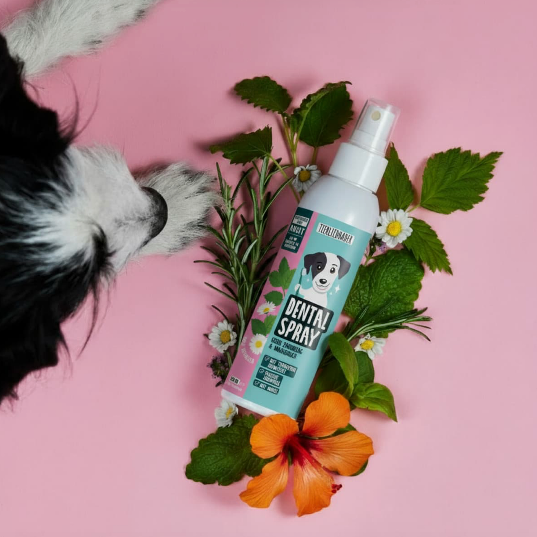 Tierliebhaber Dentalspray