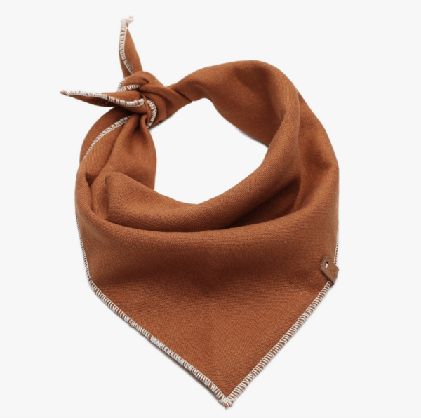 HealthyDog Lieblingspfote Hunde Bandana Halstuch Terracotta