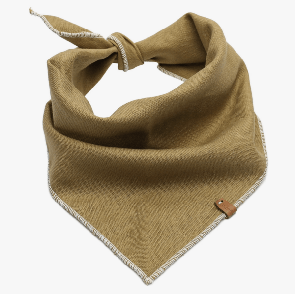 HealthyDog Lieblingspfote Hunde Bandana Halstuch Olive
