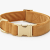 HealthyDog The Foggy Dog Hundehalsband honey