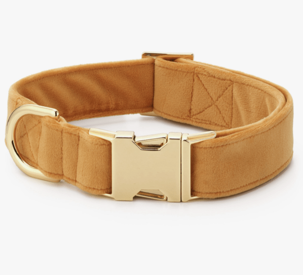 HealthyDog The Foggy Dog Hundehalsband honey
