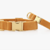 HealthyDog The Foggy Dog Hundehalsband honey