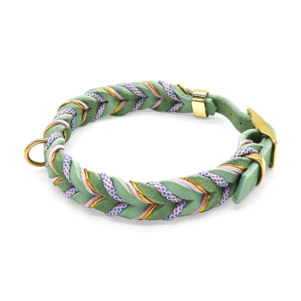 HealthyDog Lederhalsband "Aura"