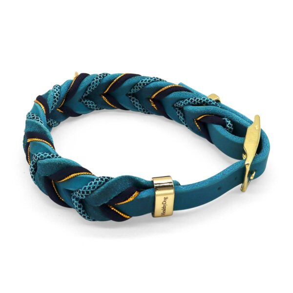 HealthyDog Lederhalsband "Gnocchi"